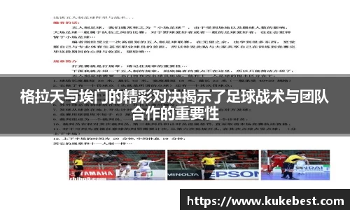 3377体育官网